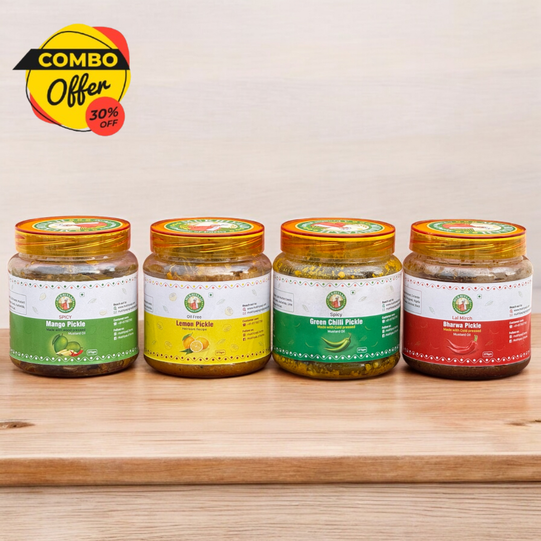 Four Pickles Combo (Spicy Mango, Lemon, Green Chilly & Stuffed Red Chilly)